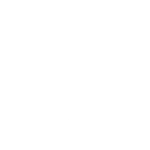 Drone Icon Decorative