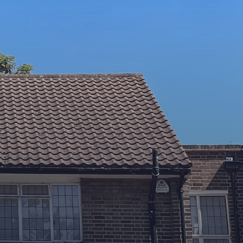 moss-removal-and-roof-cleaning-london-services-loop